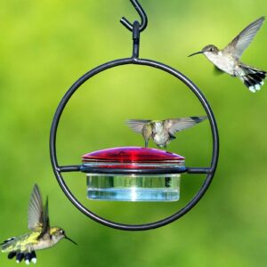 NectarOasis Hummingbird Feeder