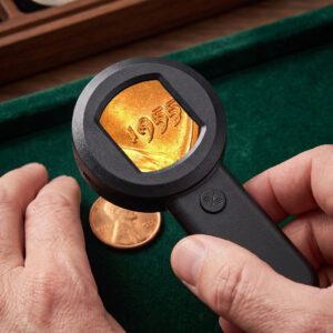 MicroVision