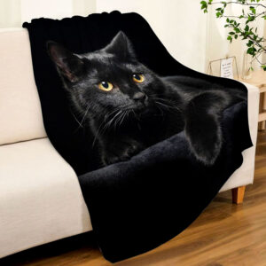 BlackCat