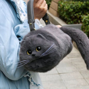 British Shorthair Cat