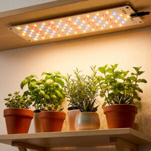 ThriveLight Pro