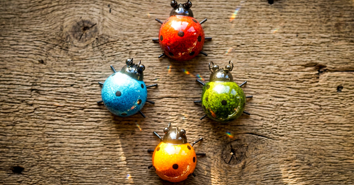 Sparkling Colors Dazzle Beautifully Under Sunshine