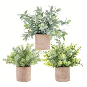 Eucalyptus + Tea Tree + Rosemary