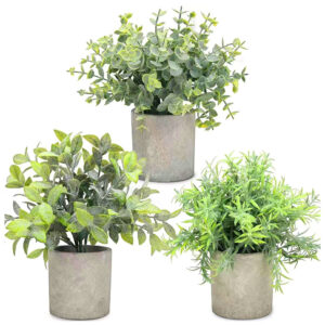 Eucalyptus + Tea Tree + Snapdragon