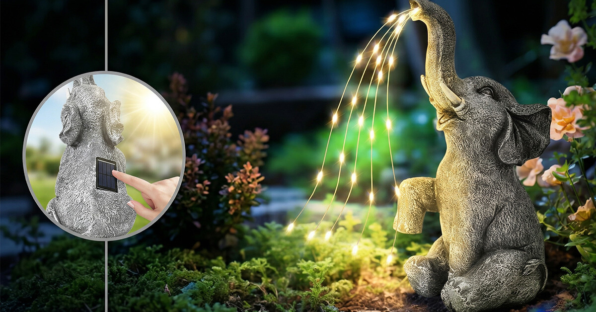 Lights Up Beautifully With Solar-Powered LED Strings
