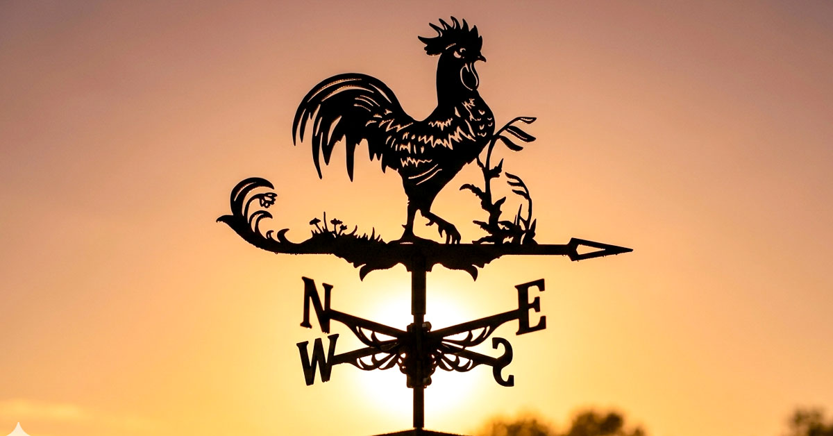 Hollow Craftsmanship Creates a Strikingly Realistic Rooster Silhouette