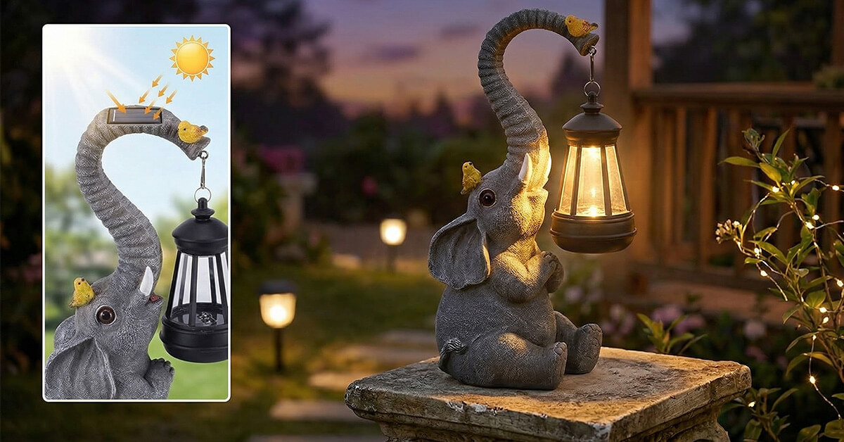 Illuminates Gardens, Balconies, and Courtyards Automatically