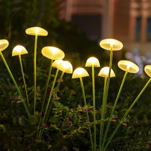 Fairy Cap