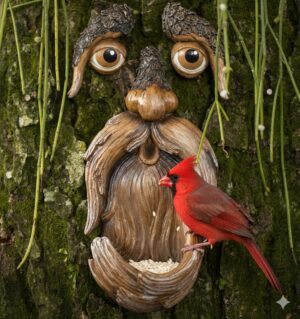 Bark Elder
