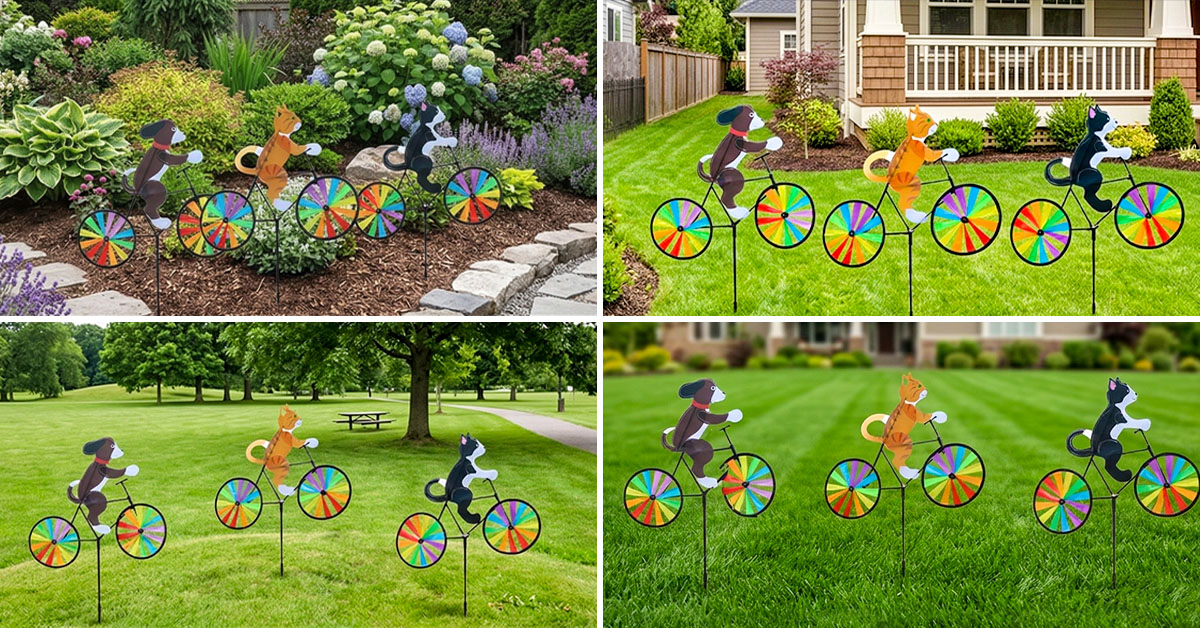 Brightens Gardens, Yards, Parks, And Lawns Beautifully