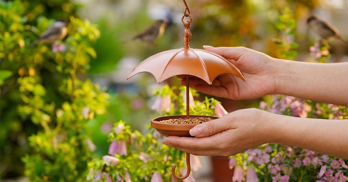 Makes a Thoughtful Gift for Bird Lovers