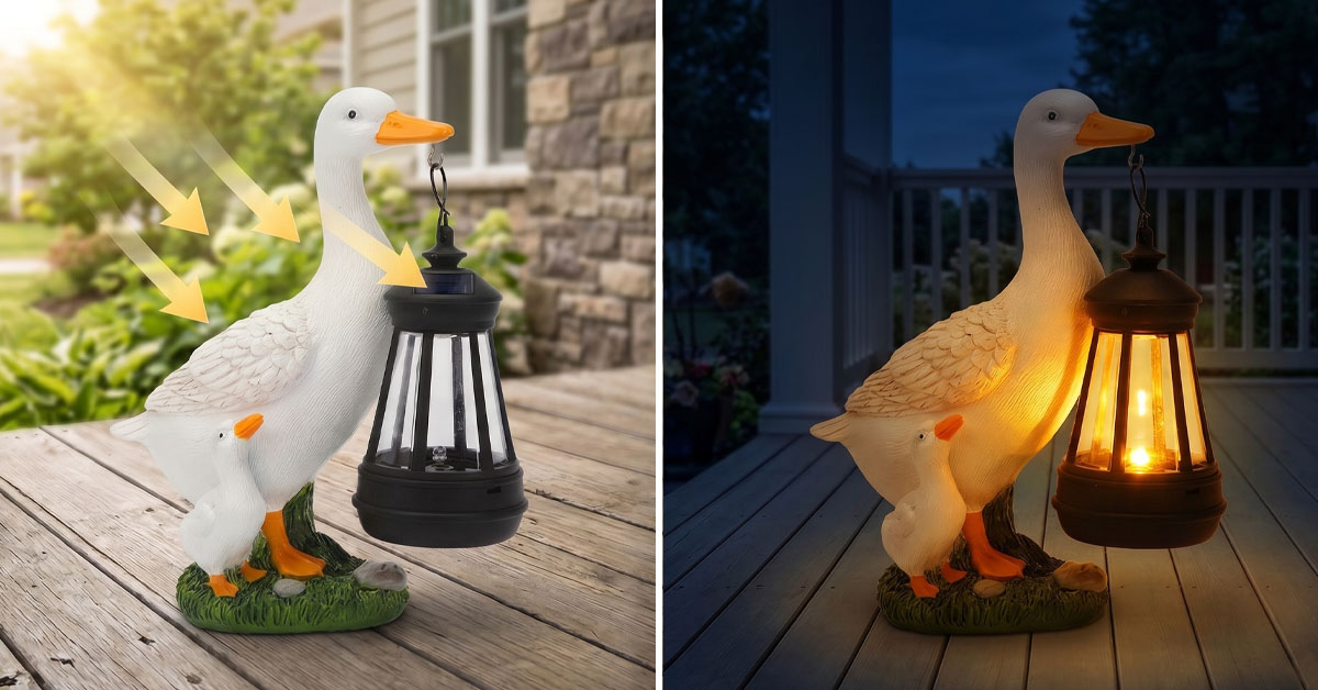 Lights Up Automatically At Dusk Every Night