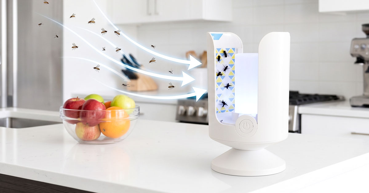 Safe, No-Zap Design Ideal For Homes And Restaurants