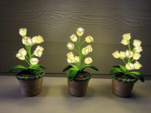 EverLily